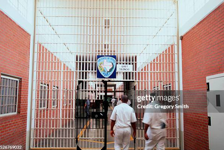 Ellis County Texas — JAIL Deaths